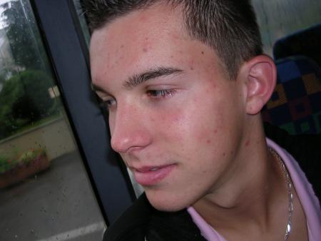 Stefi